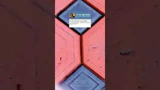 Анекдот про юбилей🤣... #анекдоты #юмор #тгк