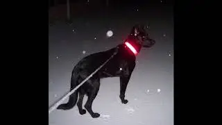 BAMBI - Puke [Prod. HOUNDS]