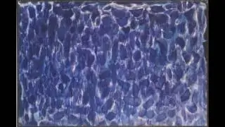 Mauricio Kagel ~ Ensemble