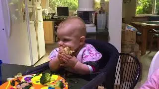 Seven month old eating quesadilla