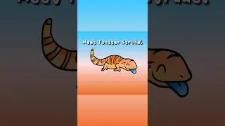 Toaster the blue-tongued skink's story 🦎 