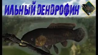 Fishing Planet PS4 # Ильный Дендрофин / Миссии Рыбы Монстры
