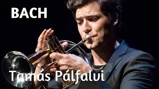 J. S. Bach - Air