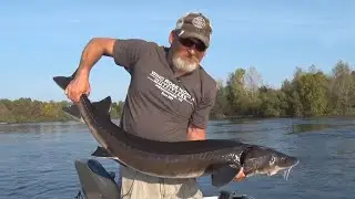 906 Outdoors - Perch Fishing, Fish Fry, Sturgeon Fishing