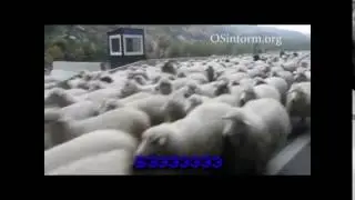 для вставки.......