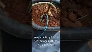 Automatic plants watering system #glentech #shorts #trending