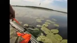 (Рыбалка На Линя)