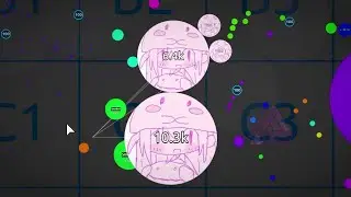 Agar.io / highlights #1