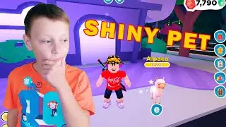 Как сделать Shiny pet в Overlook bay. Шайни пет оверлукбей.