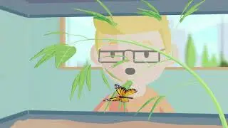 Life Cycle: Insects, Butterflies, and Metamorphosis