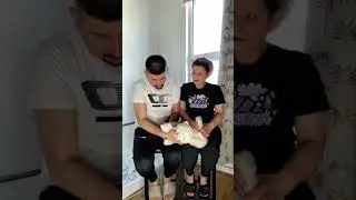 Today we are testing the reaction of cats🐱🤪prank 😂🤪 