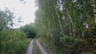 Стихотворение 