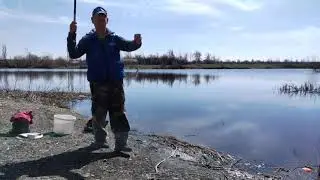 красноперка весной