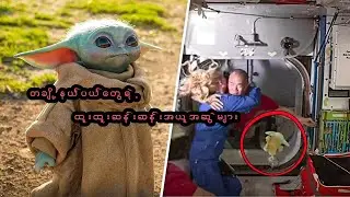 တစ်ချို့နယ်ပယ်တွေရဲ့ထူးထူးဆန်းဆန်းအယူအစွဲများ