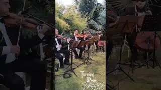 Sleeping at Last - Turning Page #noivas #casamento #noivos #wedding #noiva #casamentos #filmes