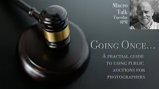 Public Auctions  - Macro Talk 