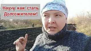 Убрала капусту и кормовую свеклу//вспахали огород под зиму