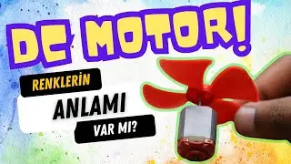 DC Motorlarda Rengin Bir Anlamı Var Mı?