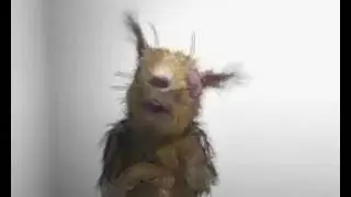 Armyanskij yumor 240