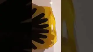MARIGOLD GLOBES FOR A BRIGHTER CLEAN