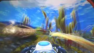 where to find rock puncher egg in subnautica below zero