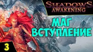 🔴Shadows: Awakening. Маг. Вступление Asmodei Stream