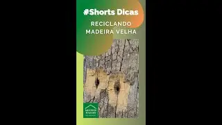 #shorts Dicas #4: NÃO jogue fora madeiras "velhas" elas podem ser RECICLADAS!