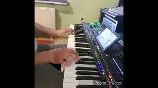 Aurica Radu - Set 2023 Korg PA5X/PA4X  Manual - Drajf - Banat