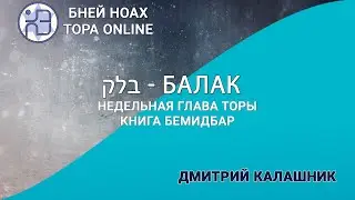 Недельная глава Торы - Парашат а-шавуа - "Балак" 5784/2024. Дмитрий Калашник