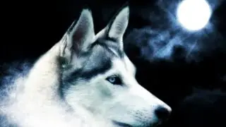 INSPIRING Instrumental - Dream Chaser Produced by Loopz