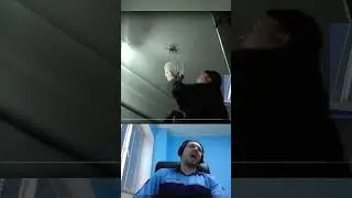 папич смотрит видосы