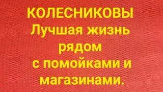 Семья Колесниковых/Обзор.