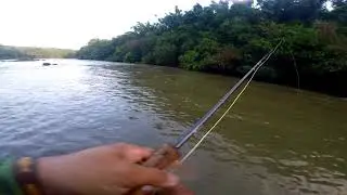 Golden in flyfishing
