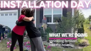 Installing A Wave Petunia Garden