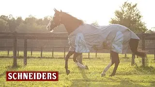 Dura-Tech® Airmesh Summer Turnout Sheet - Schneider Saddlery