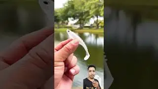 Bhai Ne Lagai Dimag 🥴😍🤷 funny shorts video #fishing #fish #bass #rap #comedy #vlog