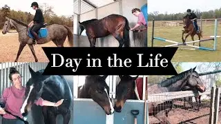 DAY IN THE LIFE: EQUESTRIAN COLLEGE STUDENT  // BARN VLOG #17