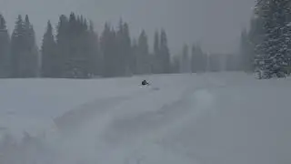Grand Mesa Powder March 1, 2023