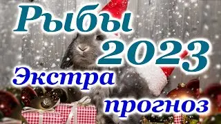РЫБЫ - ЭКСТРА  ТАРО ПРОГНОЗ на 2023 год - ГОДОВОЙ ПРОГНОЗ - ГОДОВОЙ РАСКЛАД 2023 ГОД - ТАРО ПРОГНОЗ