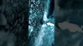 что б проверить настройки рендера.[anime edit ]#viral #аниме #animeedit
