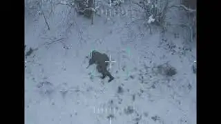 Возможно ли поймать вражеский дрон голыми руками?