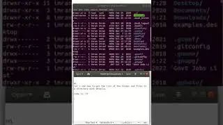 How to find list of files and directory with details in any directory in Linux using terminal