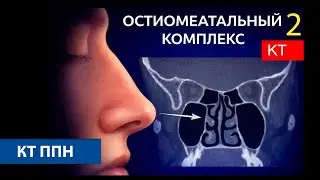 Дополнение к полости носа