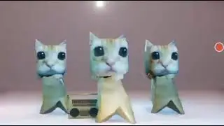 котики танцуют под фонк но это едит