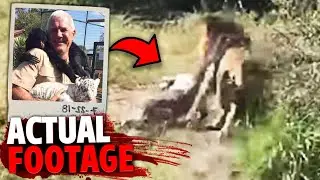 The HORRIFYING Footage of Mike Hodge MAULED By His Lion!