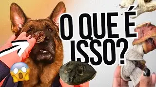 7 PETISCOS E MORDEDORES NATURAIS SEGUROS E SAUDÁVEIS