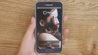 Petcube Camera Android Setup Guide