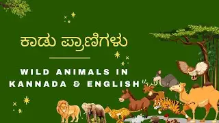 ಕಾಡು ಪ್ರಾಣಿಗಳು (Kadu Pranigalu) - Wild Animals in Kannada & English