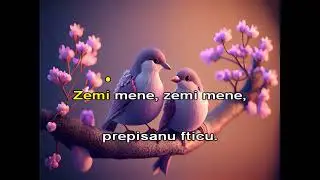 Ftiček veli