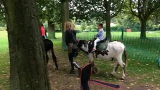 DONKEY ride!